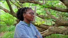 Survivor - Season 45 Episode 04